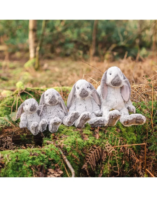 Alle vier Hasen Kuscheltiere "Plush Rosie" von Wrendale Designs der Größe nach geordnet sitzen nebeneinander im Wald auf dem Boden. Links ist das kleinste und rechts das größte Kuscheltier alle sehen abgesehen von der Größe fast gleich aus. Das Fell ist erkennbar weich und detailreich.