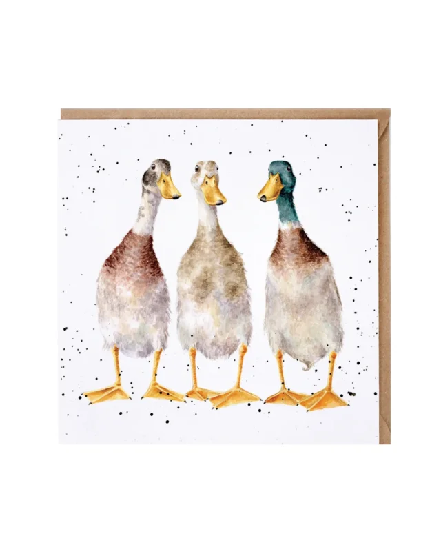 Enten Grußkarte „Tall Order“ von Wrendale Designs mit drei handillustrierten, aufrecht stehenden Enten in Aquarelloptik auf weißem Hintergrund mit feinen schwarzen Sprenkeln, brauner Umschlag im Hintergrund.