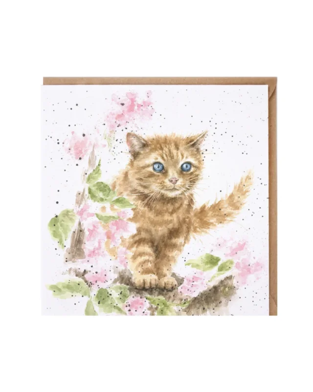 Katzen Grußkarte "Katze mit Blume" von Wrendale Designs vor weißen Hintergrund Das Motiv zeigt eine orange Katze mit blauen Augen wie sie auf einem Holzweg an rosa Blumen vorbei geht.