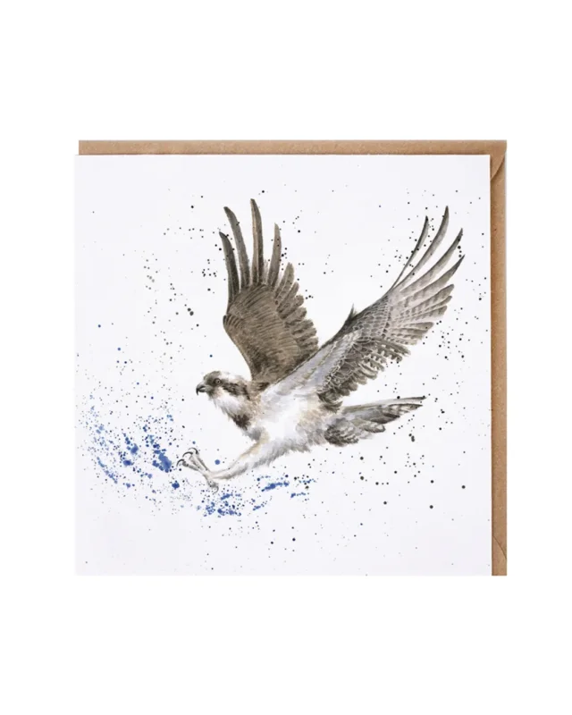 Vogel Grußkarte "Gone Fishing" von Wrendale Designs vor weißen Hintergrund. Das Motiv zeigt einen Vogel auf jagt welcher mit seinen Klauen ins Wasser greift.