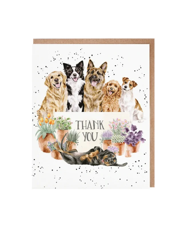 Hunde Grusskarte "Blooms and Barks" von Wrendale Designs. Auf dem Motiv sind verschiedene Hundearten zu sehen wie sie in die Kamera schauen. In der Mitte ist die Aufschrift "THANK YOU".