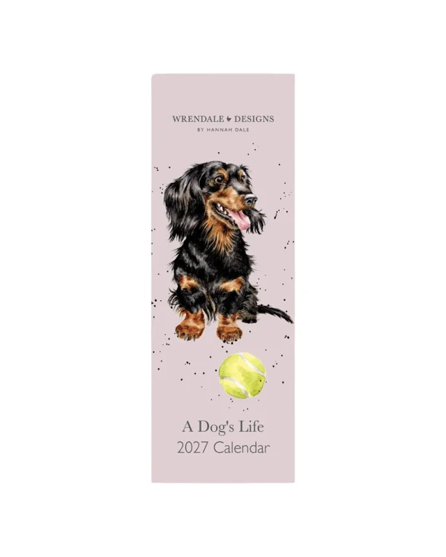 Hunde Streifenkalender 2027 "A Dogs Life" von Wrendale Designs vor weißen Hintergrund. Das Motiv besteht aus einem grauen Hintergrund und einem schwarz/braunen Hund welcher ein Tennisball vor sich liegen hat.