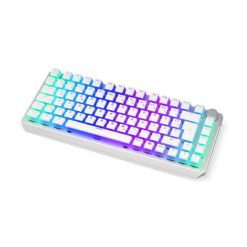 ENDORFY Thock 75 Prozent Wireless Tastatur DE Layout Kailh Box Black Weiß