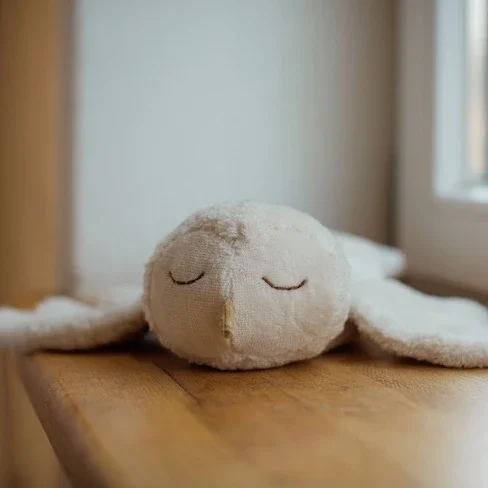 Schneeeule von Senger Naturwelt